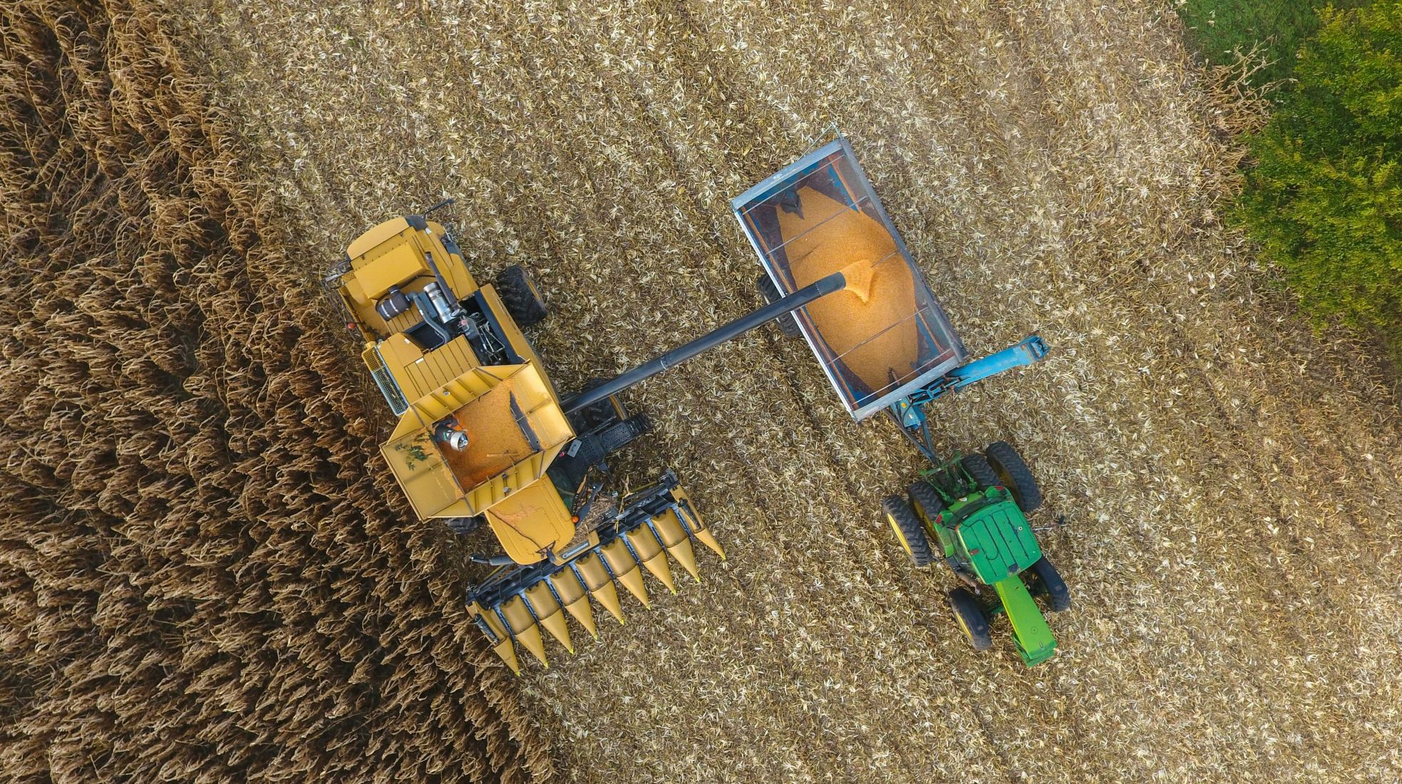 Narzędzia i maszyny rolnicze - nowoczesne rozwiązania dostępne na rynku