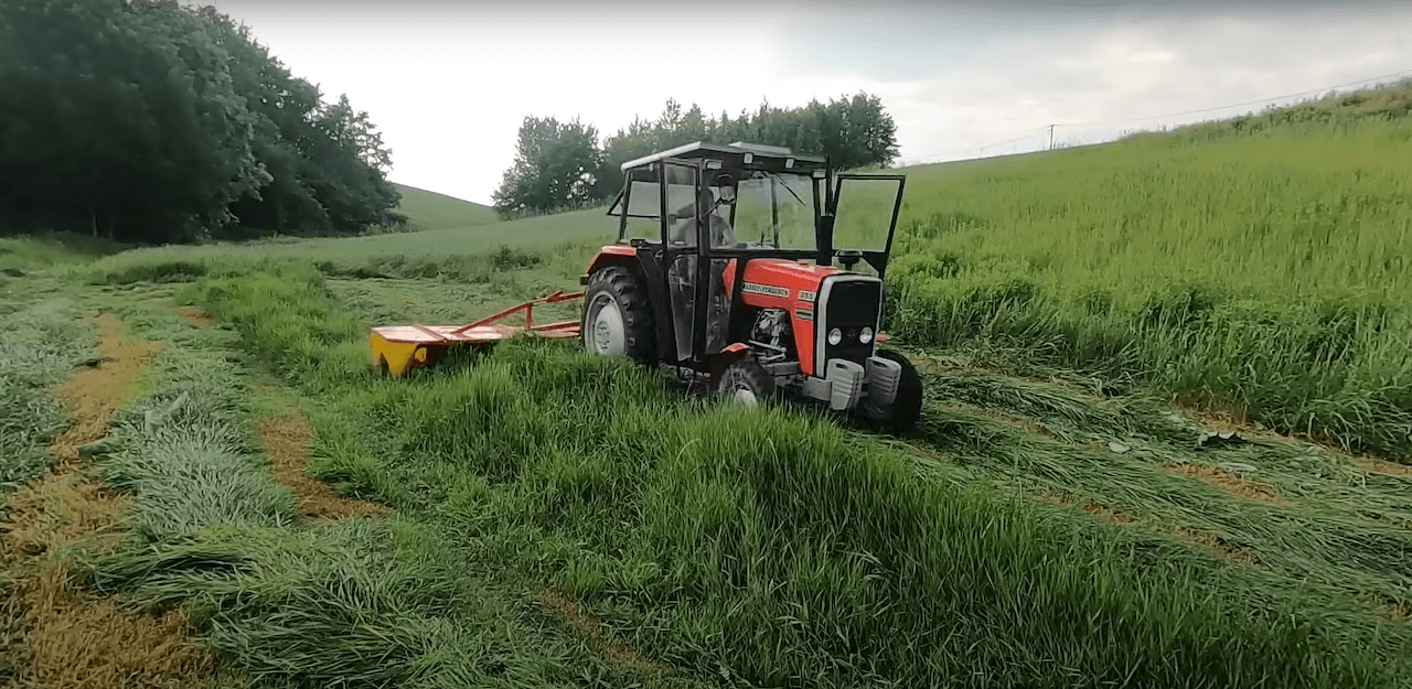 Polska kosiarka rotacyjna