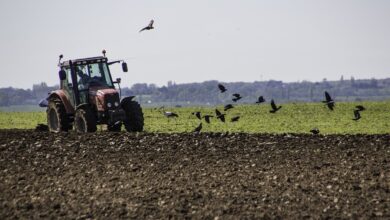 Jak podłączyć hebel w ciągniku i dlaczego warto go mieć?