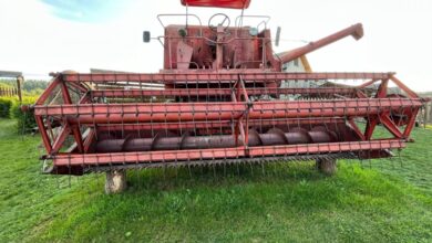 jak ustawić sita w bizonie