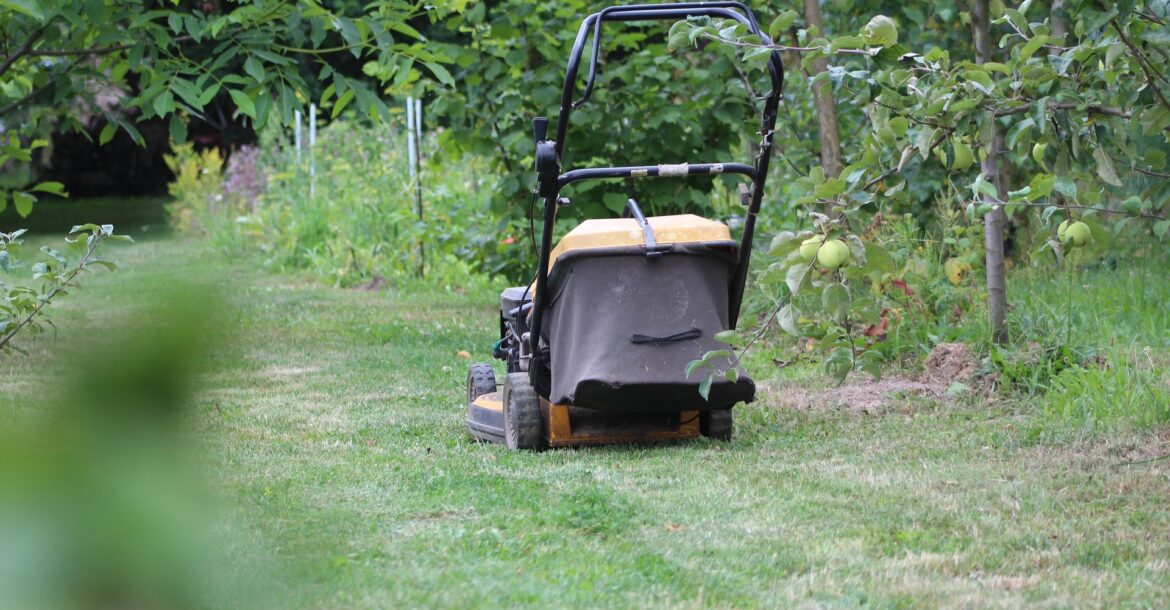 kosiarka do trawnika