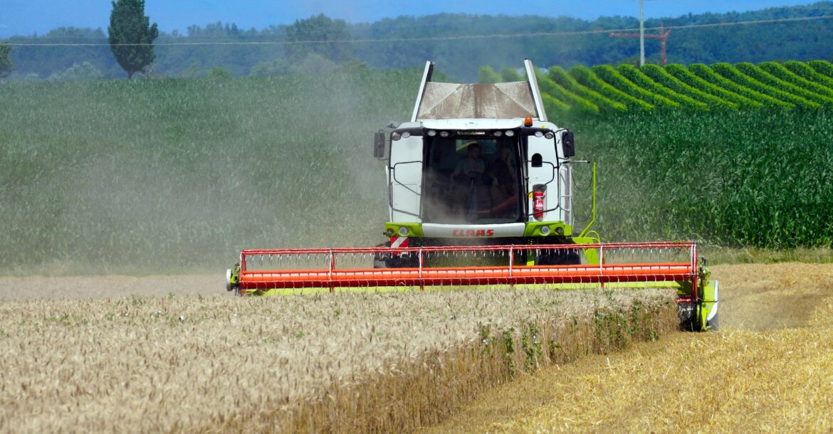 Kombajn rolniczy w trakcie pracy